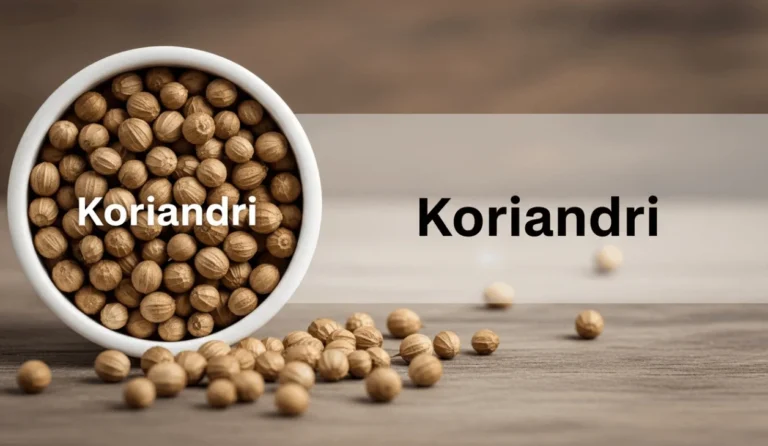 Koriandri